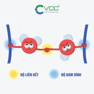 Độ bám dính là gì
