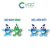 So Sánh Sự Khác Biệt Giữa độ Bám Dính Và độ Liên Kết Trong Chất Kết Dính Xây Dựng  Vcc Sealant   Sản Xuất Phân Phối Keo Silicone Và Chất Kết Dính Chuyên Nghiệp
