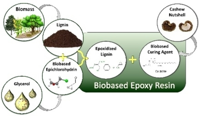 Nhựa epoxy sinh học trên cơ sở lignin đi từ nguyên liệu sinh khối