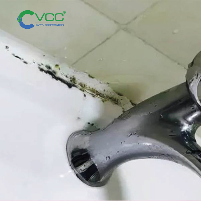 Lầm tưởng về keo silicone - Keo silicone nào cũng có thể chống mốc