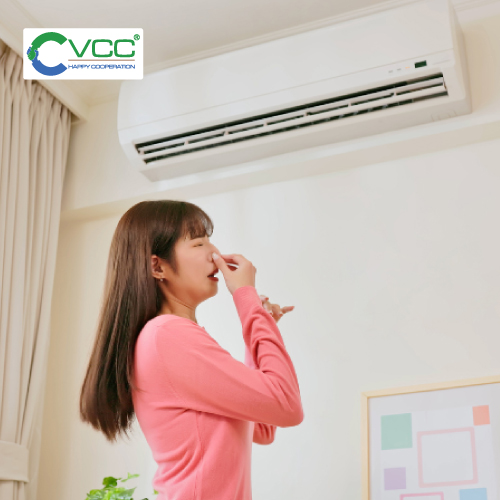 Mùi ẩm mốc khó chịu trong nhà