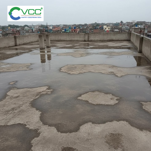 Nước đọng lâu ngày trên sân thượng ban công