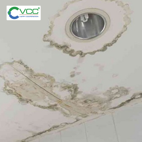 Trần nhà xuất hiện vết rạn nứt hoặc ố nước hình vòng tròn