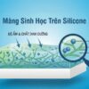 Biofilm Nấm Mốc Trên Silicone Tạo Thành Các Vết đen Cứng đầu Khó Làm Sạch  Vcc Sealant   Sản Xuất Phân Phối Keo Silicone Và Chất Kết Dính Chuyên Nghiệp