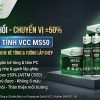Bộ sản phẩm Keo biến tính VCC MS50 siêu đàn hồi chịu chuyển vị ±50% đạt chuẩn ASTM C920 của Công ty Cổ phần Đầu tư và Thương mại Quốc tế VCC